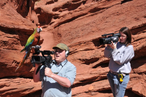 Filming of a place to land